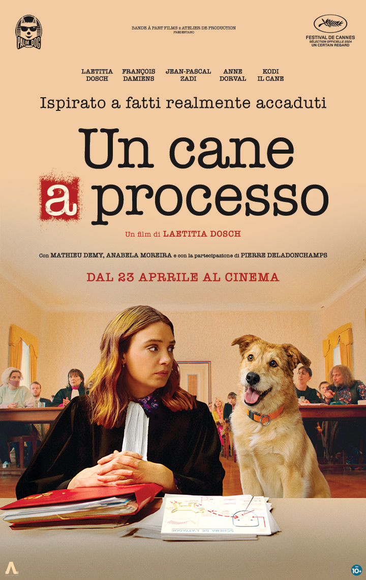 UN CANE A PROCESSO