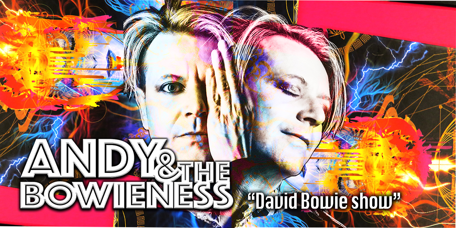 ANDY & THE BOWIENESS
